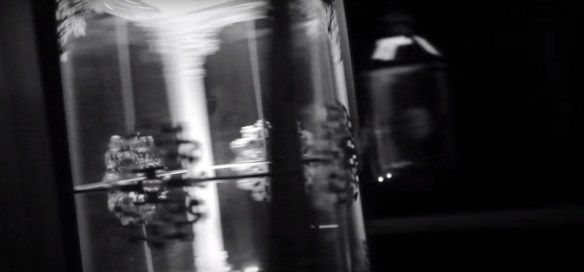 Lantern Still DL - Video